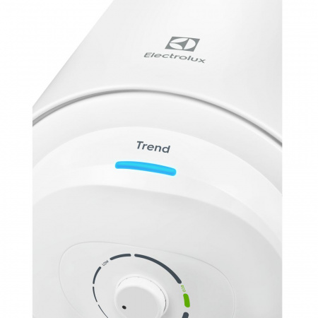 Водонагреватель Electrolux EWH 100 Trend Водонагреватель Electrolux EWH 100 Trend