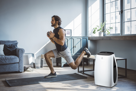 Кондиционер мобильный Electrolux Art Style EACM-10 HR/N3